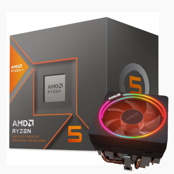 Micro Amd Ryzen 5 8600G