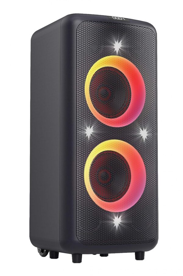 Parlante Fyd Fenda Pa300 Black
